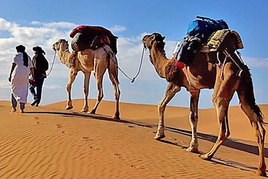 Kamelritt in der Wüste Marokkos